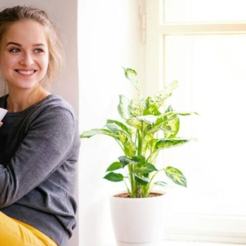 7 formas en que tu entorno afecta a tu salud mental